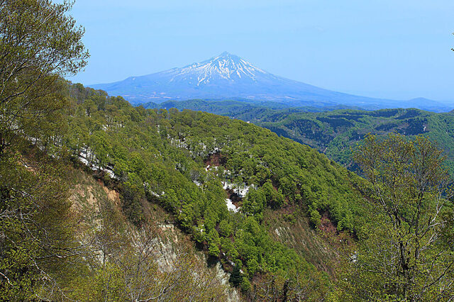 Img landscape 02