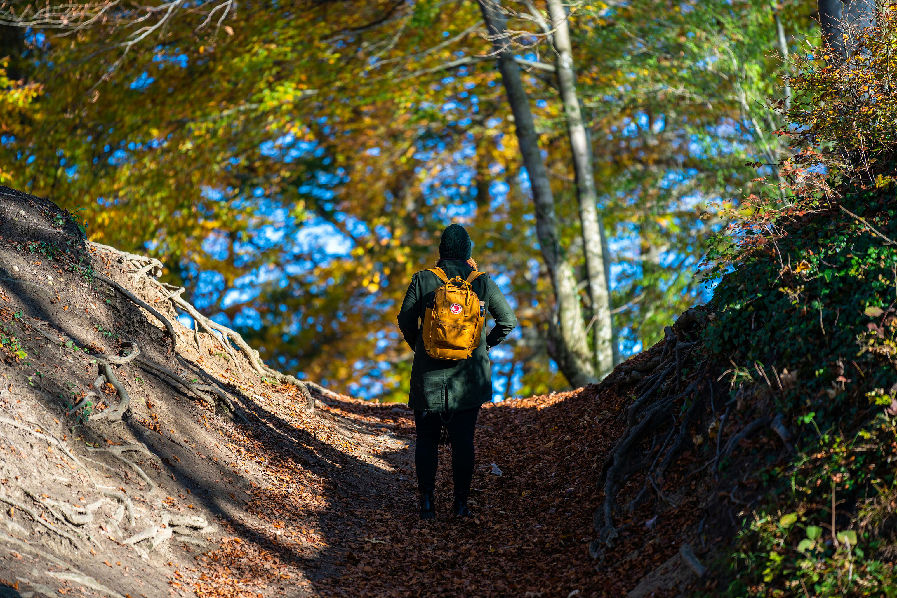 Hiking 2