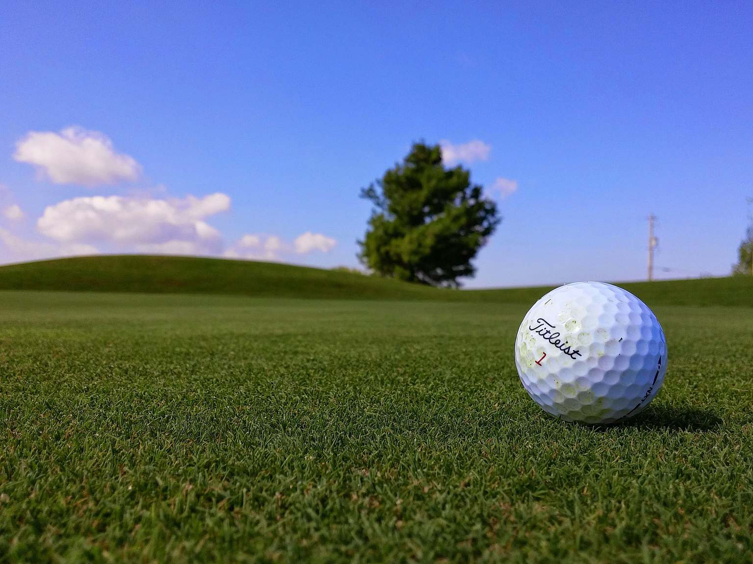 Titleist 2619862